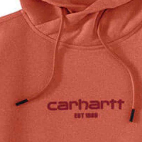 Carhartt 105573 Force® Relaxed Fit Lightweight Graphic Hoodie 297sn - Picture 3 of 5
